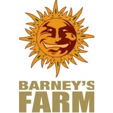Barney's Farm nasiona marihuany
